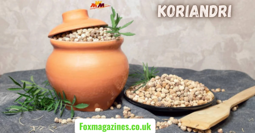 Koriandri: The Culinary Herb That Transforms Your Dishes koriandri